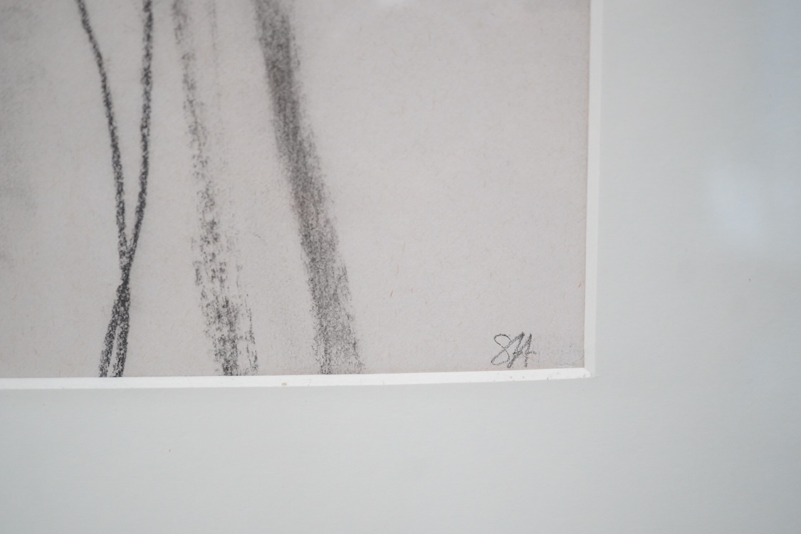 Modern British, Study of a nursing mother and child, indistinctly monogrammed S H lower right?, charcoal, 47 x 28cm